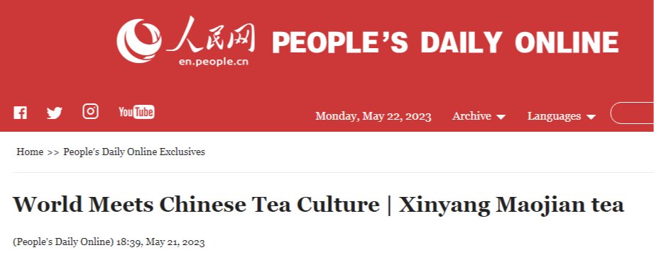 World Meets Chinese Tea Culture | Xinyang Maojian tea - People's Daily Online